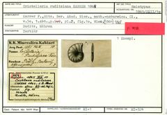 Karteikarte zum Holotyp von Cristellaria ruditziana Karrer, 1865